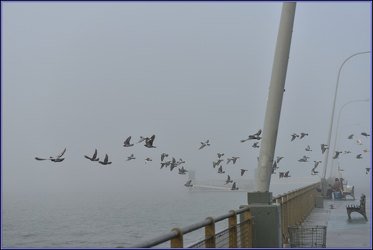 DSC_2486.jpg