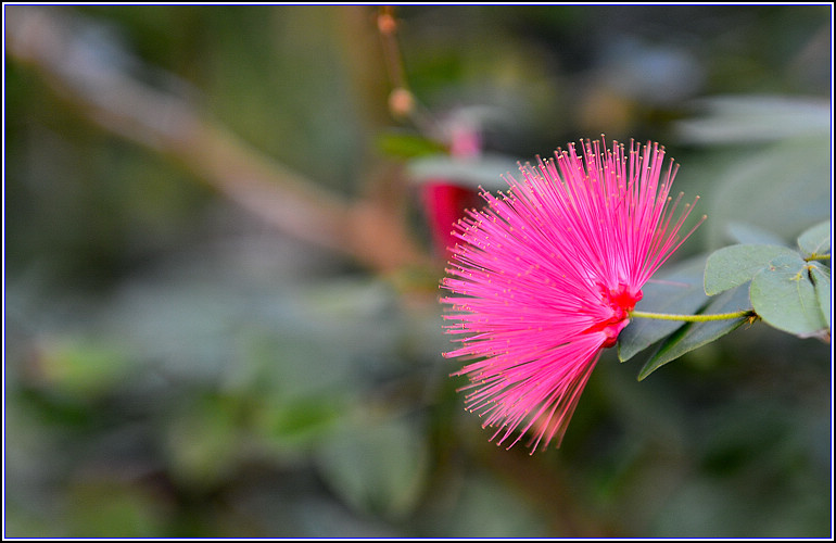 DSC_2358.jpg