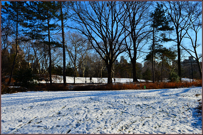 DSC_1867.jpg