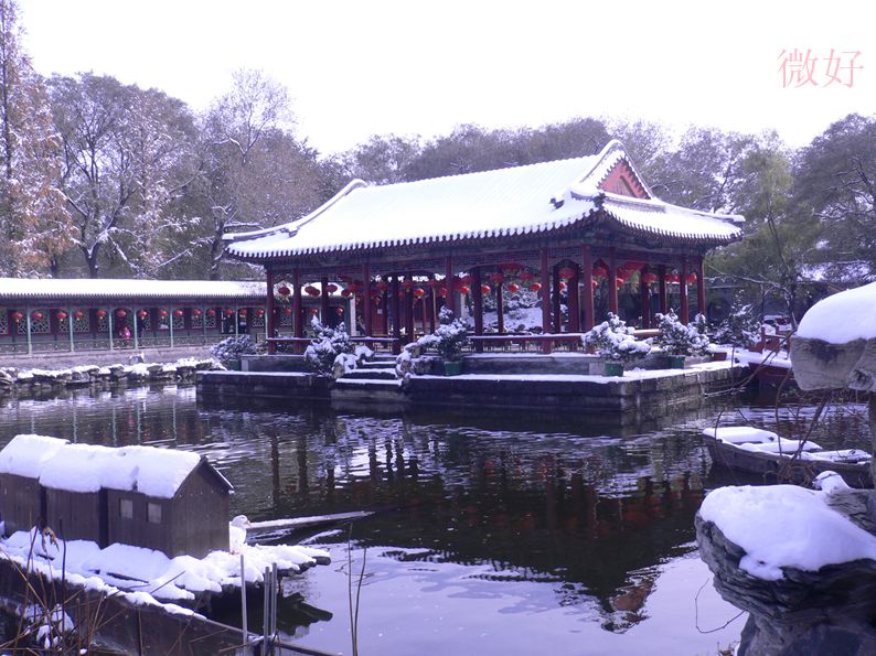 P1170846_.jpg