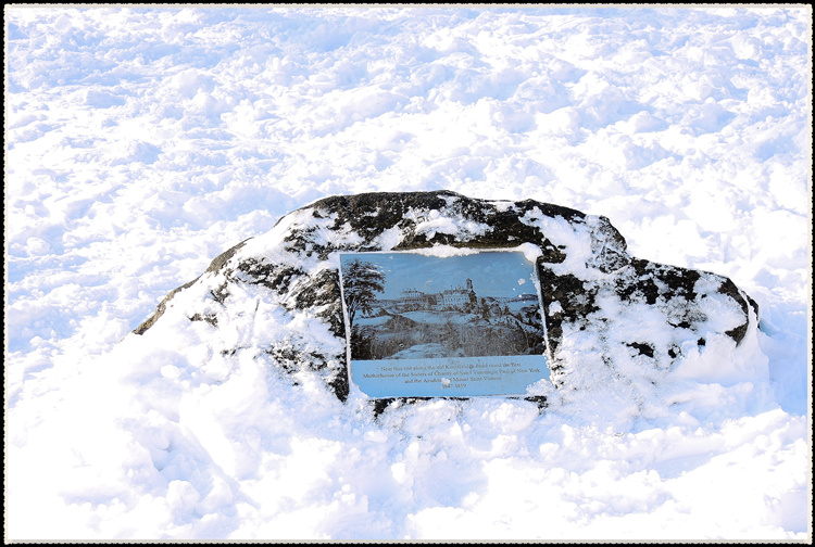 DSCN9068.jpg