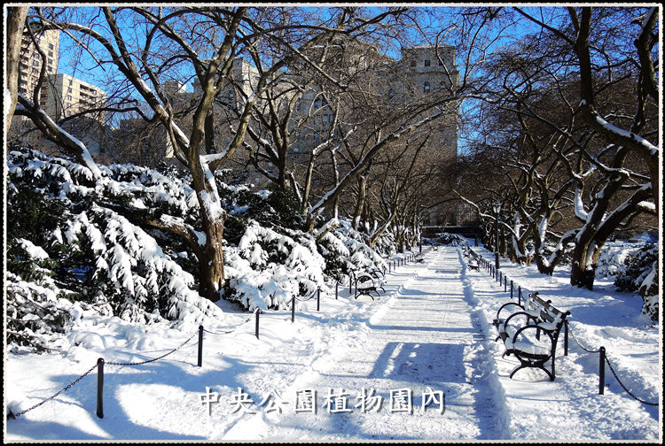 DSCN9049_.jpg