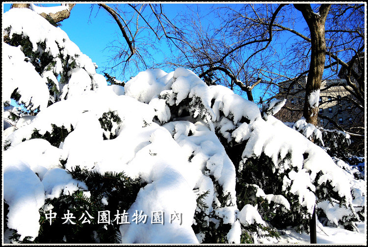 DSCN9054_.jpg
