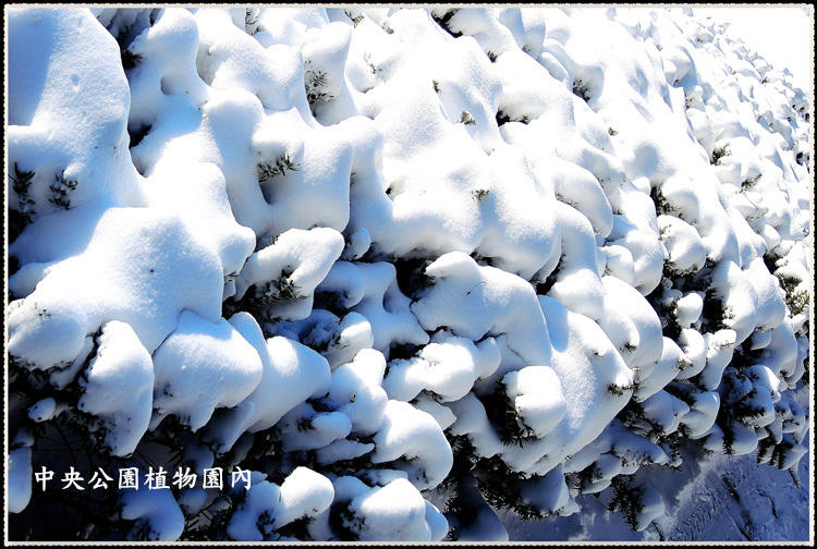 DSCN9026_.jpg