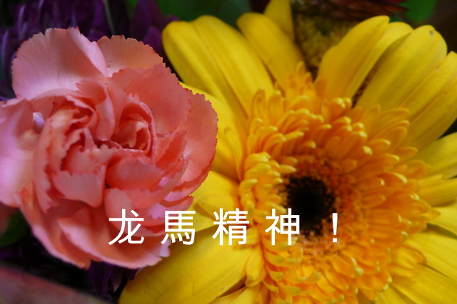 P1280789.JPG