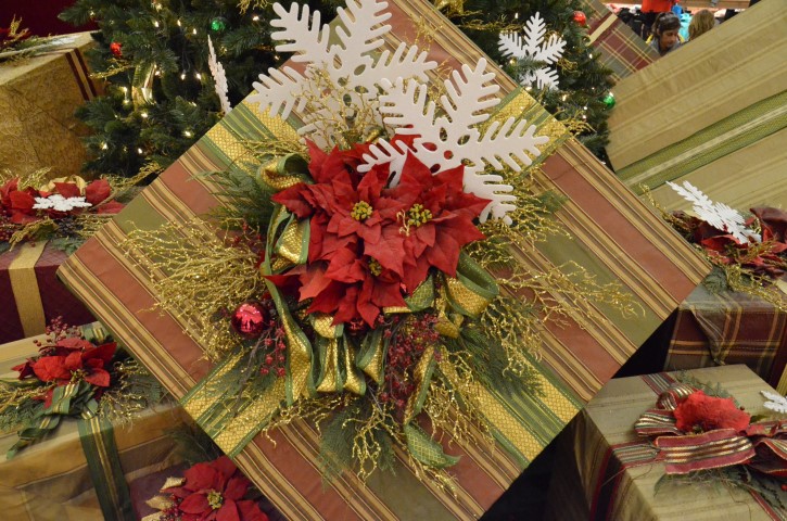 DSC_0354 (Small).JPG