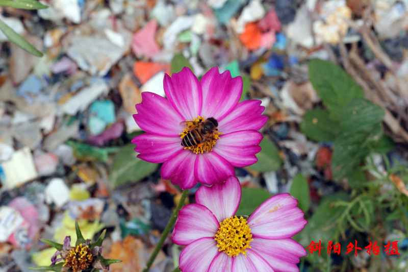 _MG_64402013-10-20_.jpg
