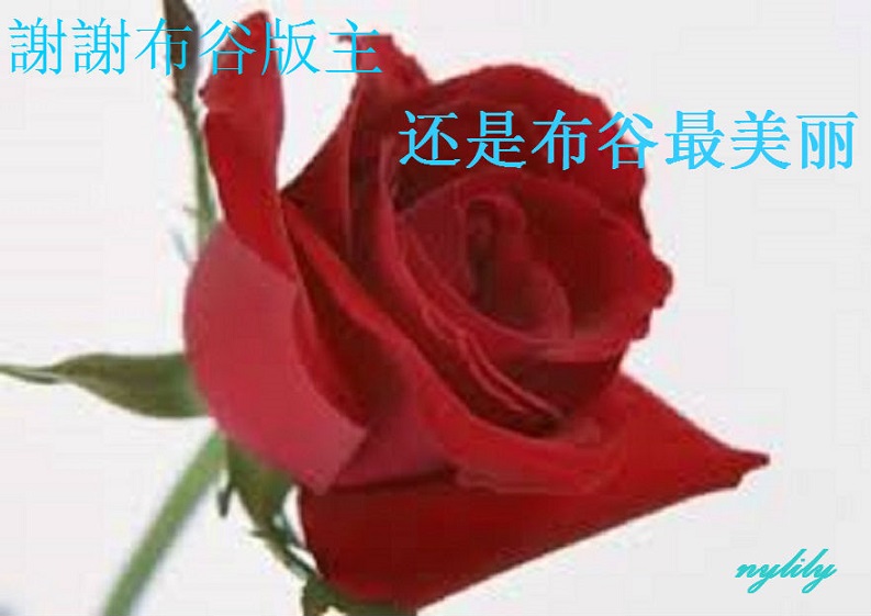 228_36000_489005461476af6.jpg