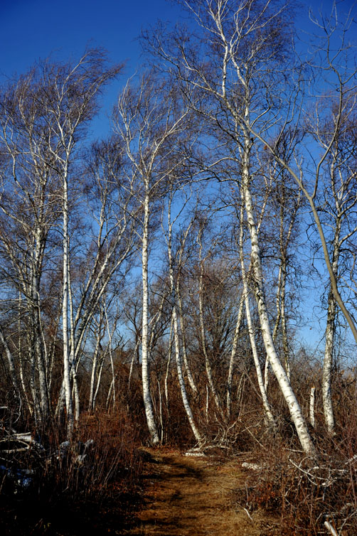 DSC_0139.jpg