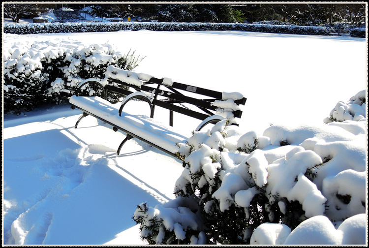 DSCN9032.jpg