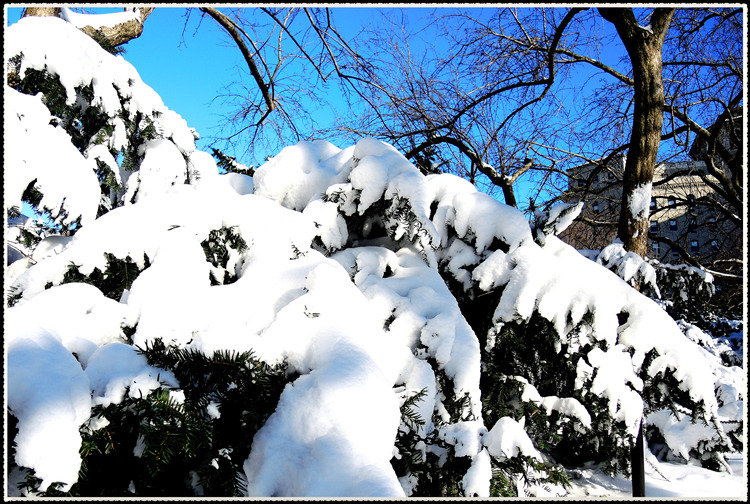 DSCN9054.jpg