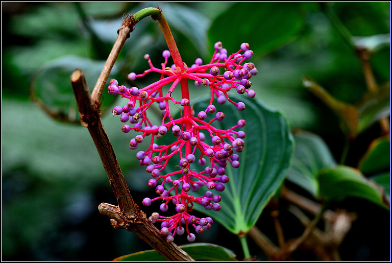 DSC_2748.jpg