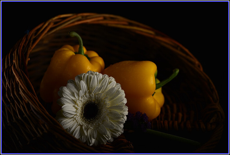 DSC_2261.jpg