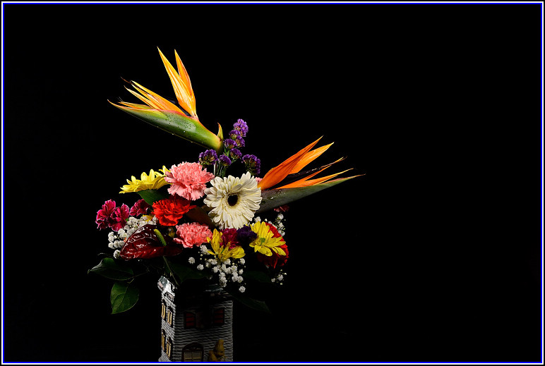 DSC_2208.jpg