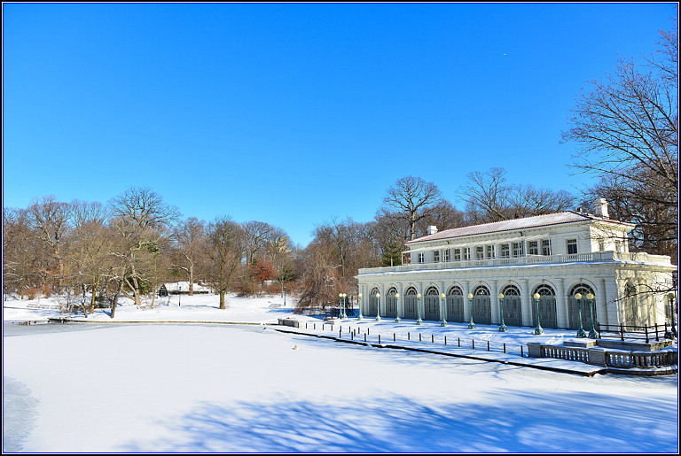 DSC_2984.jpg