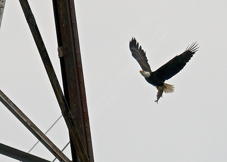 DSC_7122s.jpg