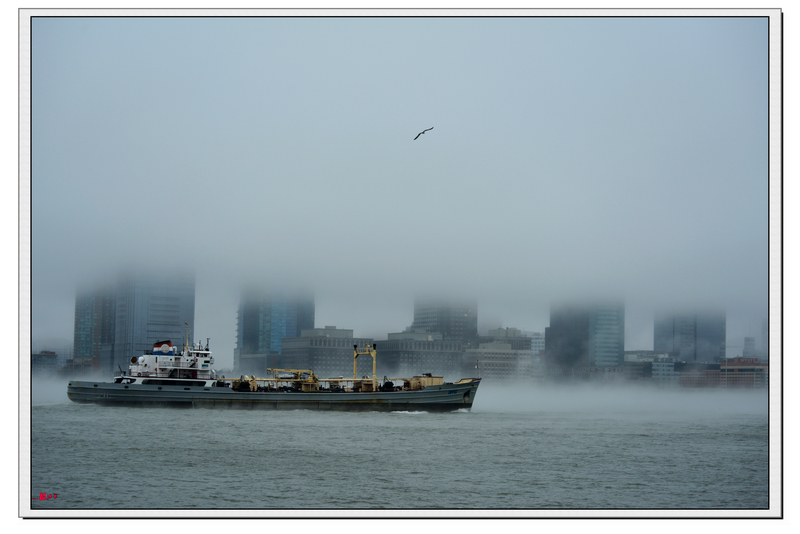 DSC_0804.jpg