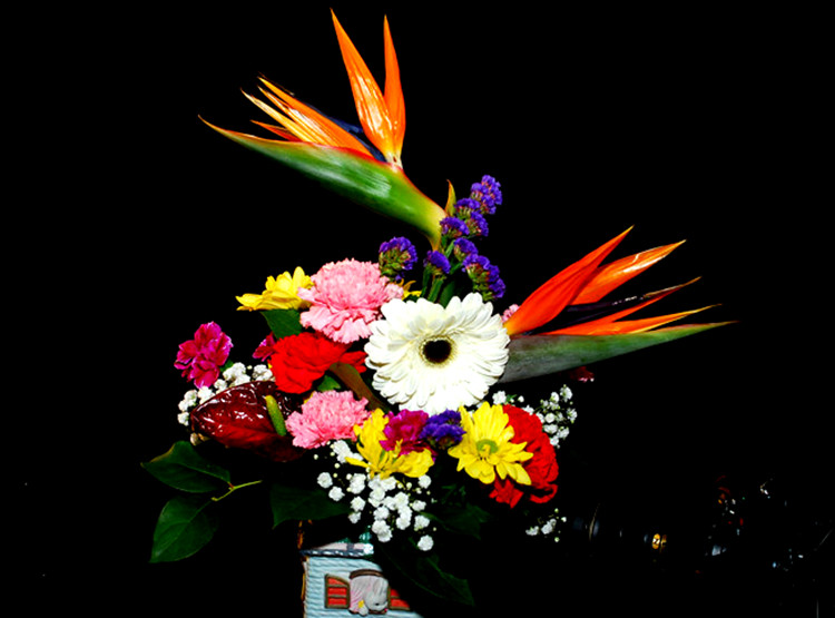 DSC_0625_����.jpg