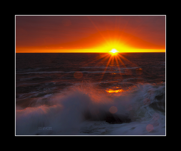 DSC_2282C.jpg