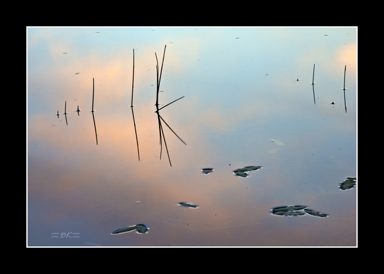 DSC_0737C.jpg