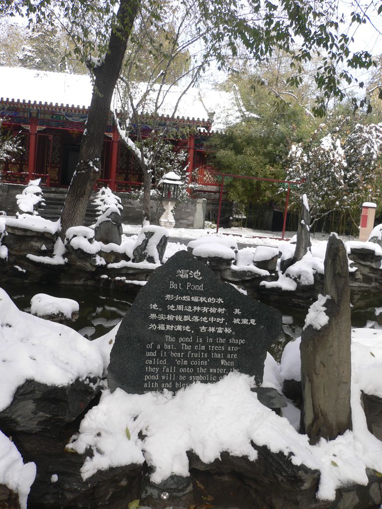 P1170845_.jpg