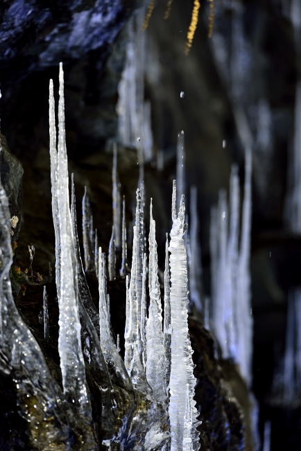 _DSC9435_01.JPG