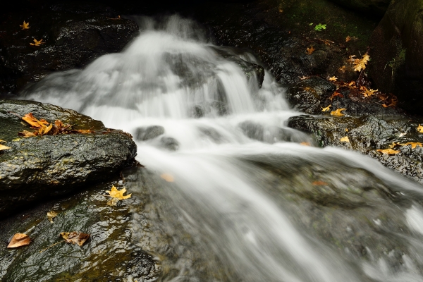 _DSC9039_01.JPG