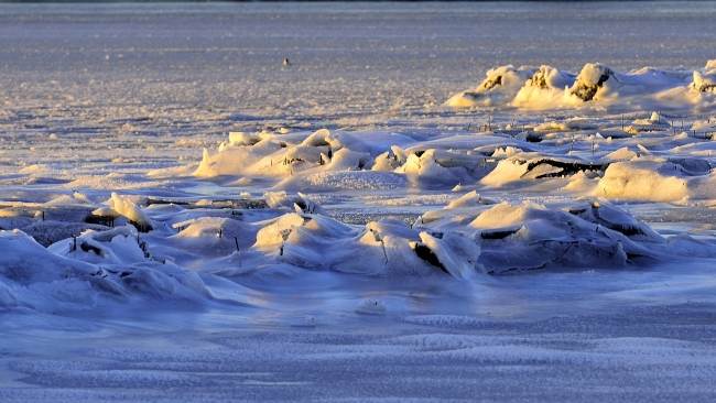 _DSC9532_01.JPG