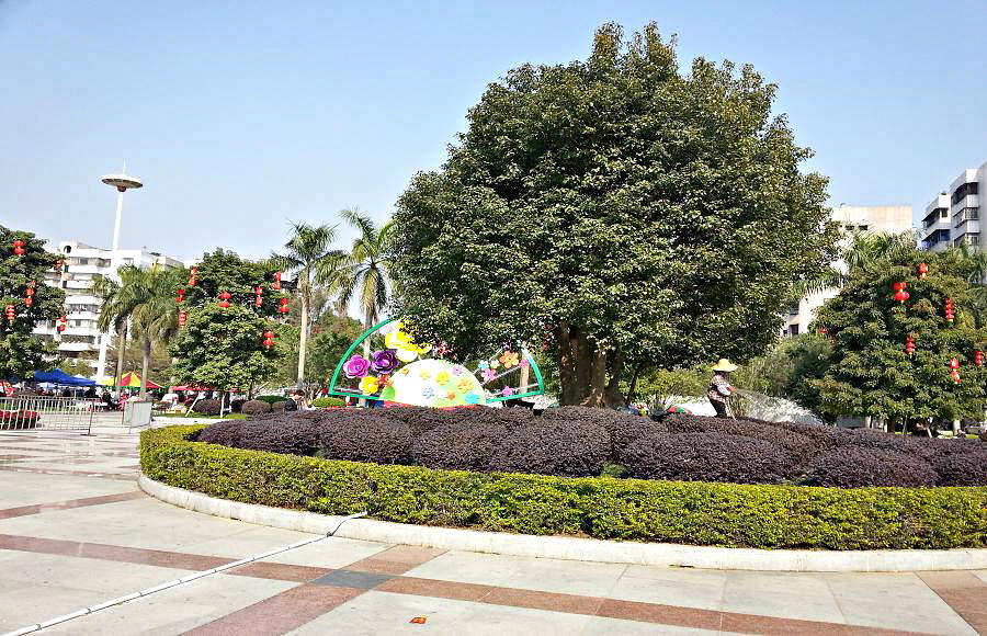 20140123_144644.jpg