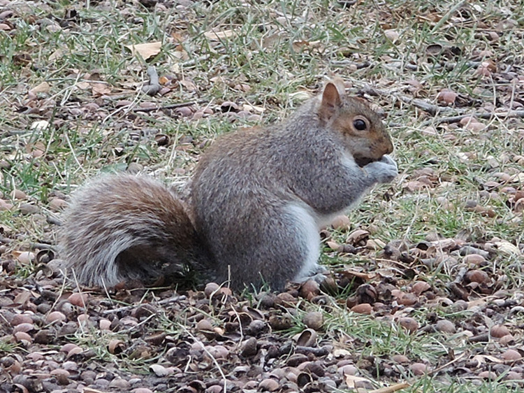 DSCN3788_����.jpg