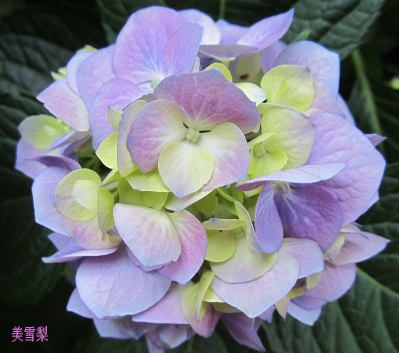 0IMG_4881_conew1.JPG