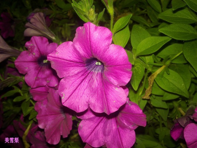 0DSC04714_conew1.jpg