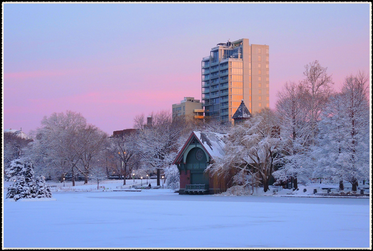 105_46875_8990875a5d264ce[1].jpg
