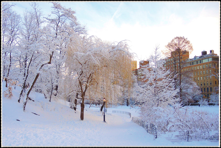 DSCN0113.jpg