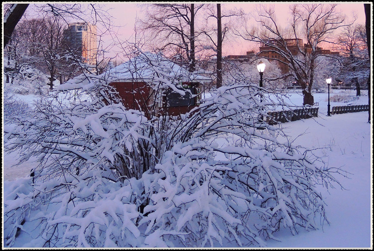 DSCN0002a_.jpg