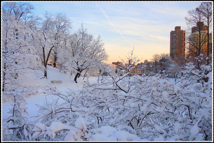 DSCN0117.jpg