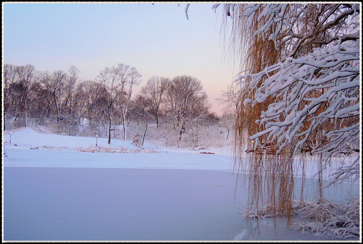 DSCN0041.jpg