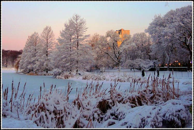 DSCN0031.jpg