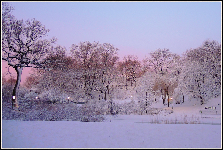 DSCN0008.jpg