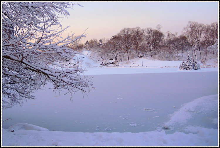 DSCN0037.jpg