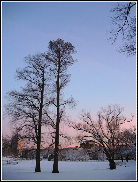 DSCN0006.jpg