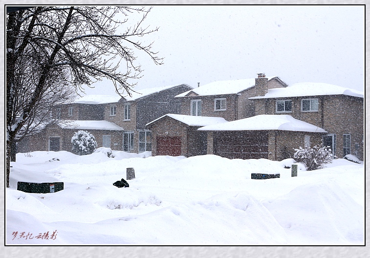 20140205 064_conew1.jpg