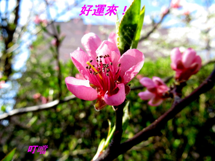 IMG_0001_6677.jpg