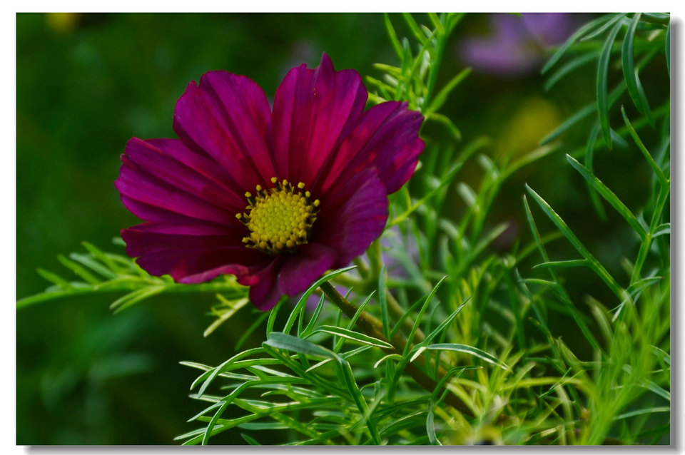DSC_7082.jpg