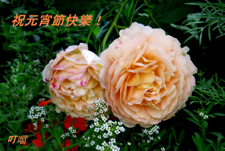 IMG_0001_6754.jpg