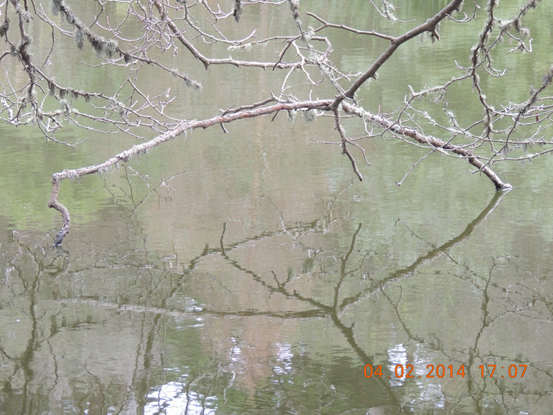 184_35925_b91d56517208963.jpg