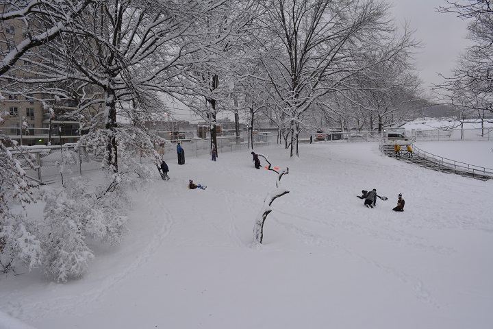 ѩsnow 105.jpg