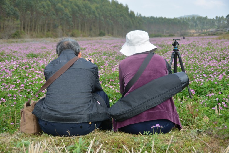 DSC_0611_conew1.jpg