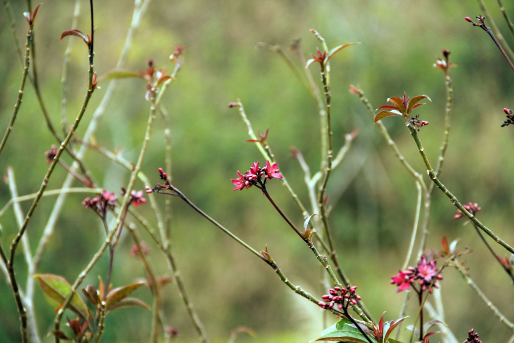_MG_90402014--2--2.JPG