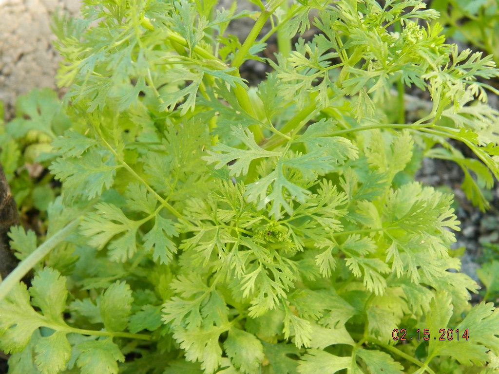 DSCN3666.JPG